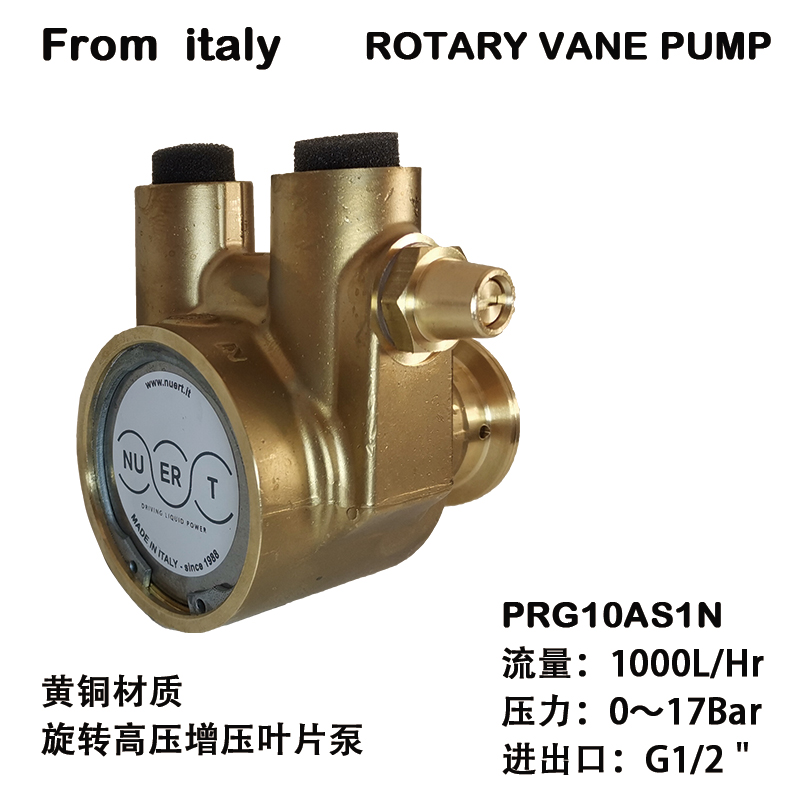 黃銅旋轉(zhuǎn)葉片泵PRG10AS1N
