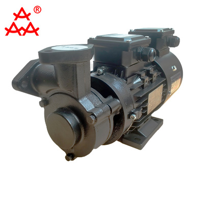 WM-10V變頻鑄鐵漩渦泵