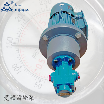 變頻齒輪泵AKFA-25V