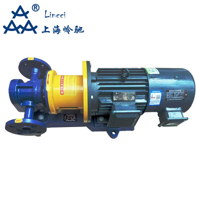 變頻高溫高壓磁力齒輪泵A2CY