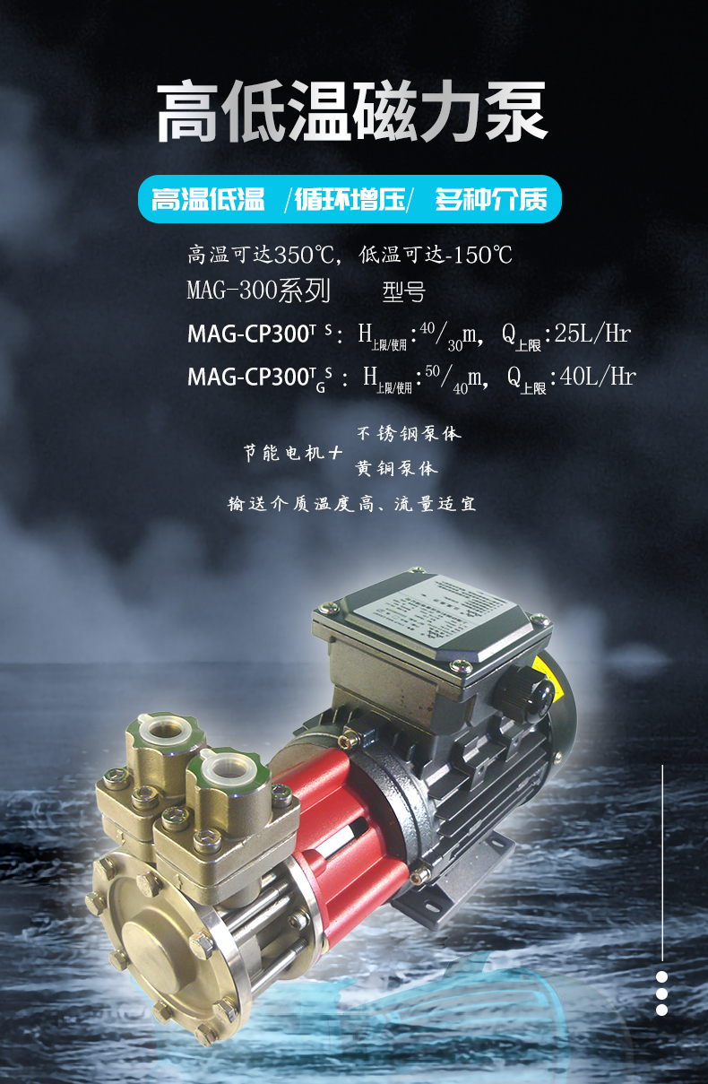 高低溫磁力泵MAG-300長圖詳情20220825_01.jpg
