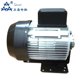 550W230V意大利进口RPM电机旋转叶片泵