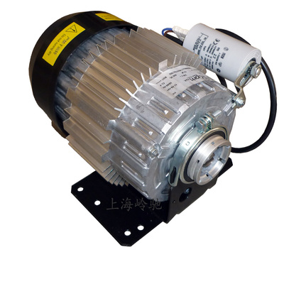 560W230V进口意大利RPM电机50Hz和60Hz共用旋转叶片泵用电机